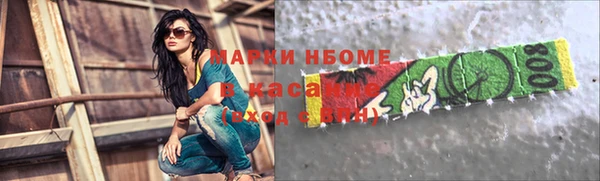 дмт Краснослободск