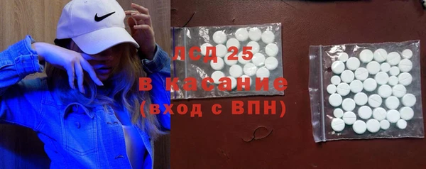 дживик Пересвет