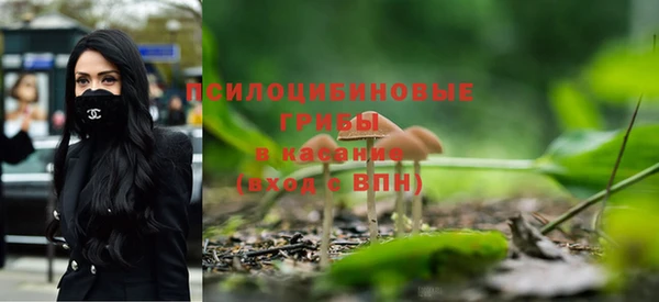 дмт Краснослободск