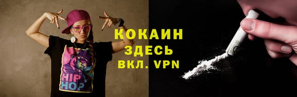 дмт Краснослободск