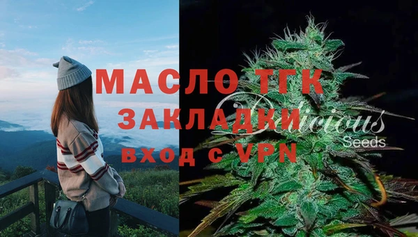 индика Красноперекопск