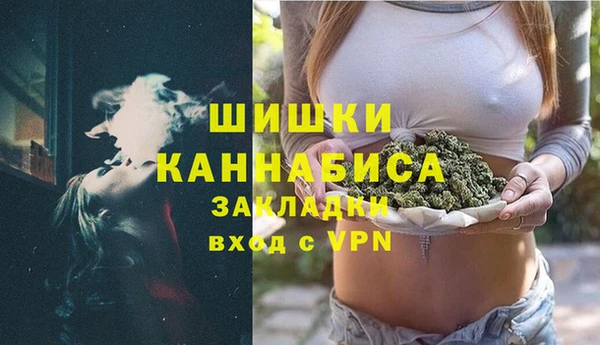 дмт Краснослободск