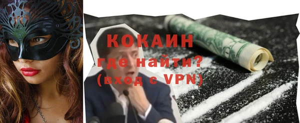 дмт Краснослободск