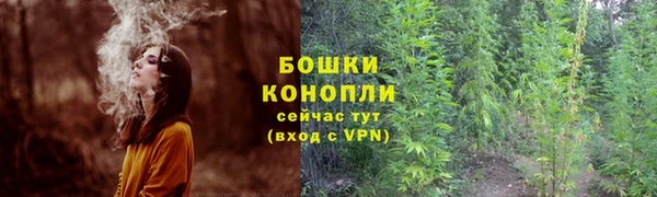 дмт Краснослободск